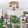 Ripoll Plafondlamp, Kogellampje Natuurlijke kleuren, Zwart, 3-lichts