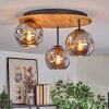 Ripoll Plafondlamp, Kogellampje Natuurlijke kleuren, Zwart, 3-lichts