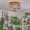 Ripoll Plafondlamp, Kogellampje Natuurlijke kleuren, Zwart, 3-lichts