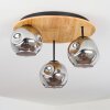 Ripoll Plafondlamp, Kogellampje Natuurlijke kleuren, Zwart, 3-lichts