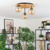 Ripoll Plafondlamp, Kogellampje Natuurlijke kleuren, Zwart, 3-lichts