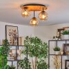 Ripoll Plafondlamp, Kogellampje Natuurlijke kleuren, Zwart, 3-lichts