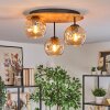 Ripoll Plafondlamp, Kogellampje Natuurlijke kleuren, Zwart, 3-lichts