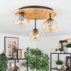 Ripoll Plafondlamp, Kogellampje Natuurlijke kleuren, Zwart, 3-lichts