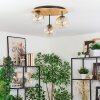 Ripoll Plafondlamp, Kogellampje Natuurlijke kleuren, Zwart, 3-lichts