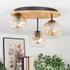 Ripoll Plafondlamp, Kogellampje Natuurlijke kleuren, Zwart, 3-lichts
