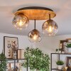Ripoll Plafondlamp, Kogellampje Natuurlijke kleuren, Zwart, 3-lichts