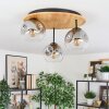 Ripoll Plafondlamp, Kogellampje Natuurlijke kleuren, Zwart, 3-lichts