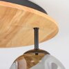 Ripoll Plafondlamp, Kogellampje Natuurlijke kleuren, Zwart, 3-lichts