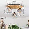 Ripoll Plafondlamp, Kogellampje Natuurlijke kleuren, Zwart, 3-lichts