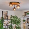 Ripoll Plafondlamp, Kogellampje Natuurlijke kleuren, Zwart, 3-lichts