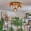 Ripoll Plafondlamp, Kogellampje Natuurlijke kleuren, Zwart, 3-lichts