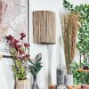 Viadores Licht omhoog & omlaag, Wandlamp Zwart, 1-licht
