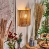 Colmeal Licht omhoog & omlaag, Wandlamp Zwart, 1-licht