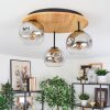 Ripoll Plafondlamp, Kogellampje Natuurlijke kleuren, Zwart, 3-lichts