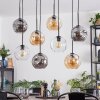 Ripoll Hanglamp, Kogellampje, Hanglamp Amber, Duidelijk, Rookkleurig, 8-lichts Ripoll Hanglamp, Kogellampje, Hanglamp Amber, Duidelijk, Rookkleurig, 8-lichts