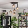 Ripoll Plafondlamp, Kogellampje Duidelijk, Rookkleurig, 5-lichts