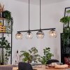 Koyoto Hanglamp, Kogellampje, Hanglamp Amber, Duidelijk, Rookkleurig, 4-lichts