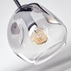 Ripoll Plafondlamp, Kogellampje Amber, Duidelijk, Rookkleurig, 5-lichts