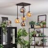 Ripoll Plafondlamp, Kogellampje Amber, Rookkleurig, 5-lichts