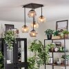 Koyoto Plafondlamp, Kogellampje Amber, Duidelijk, Rookkleurig, 5-lichts