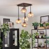 Koyoto Plafondlamp, Kogellampje Amber, Duidelijk, Rookkleurig, 5-lichts