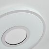 Loron Plafondlamp, Paneel LED Zilver, Wit, 1-licht
