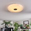 Luvan Plafondlamp LED Wit, 1-licht
