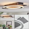 Lidor Plafondlamp LED Zwart, Zilver, 1-licht