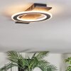 Lidor Plafondlamp LED Zwart, Zilver, 1-licht