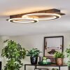 Lidor Plafondlamp LED Zwart, Zilver, 1-licht