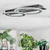 Lidor Plafondlamp LED Zwart, Zilver, 1-licht