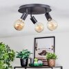 Geira Plafondlamp, Plafondspot Zwart, 3-lichts
