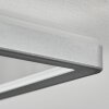 Simonstorp Plafondlamp, Paneel LED Zilver, Wit, 1-licht
