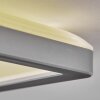 Simonstorp Plafondlamp, Paneel LED Zilver, Wit, 1-licht