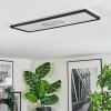 Simonstorp Plafondlamp, Paneel LED Zwart, Wit, 1-licht