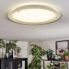 Ipres Plafondlamp, Paneel LED Zilver, Wit, 1-licht