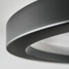 Xarel Plafondlamp, Paneel LED Zwart, 1-licht
