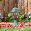 Naofe Plint licht, Pad licht Groen, Zwart, 1-licht