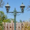 Naofe Kandelaar, Pad licht Groen, Zwart, 2-lichts