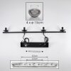 Koyoto Hanglamp, Kogellampje, Hanglamp Duidelijk, Rookkleurig, 4-lichts