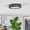 Isela Plafondlamp, Paneel LED Zwart, 1-licht