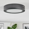 Isela Plafondlamp, Paneel LED Zwart, 1-licht