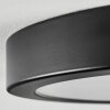 Isela Plafondlamp, Paneel LED Zwart, 1-licht