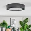 Isela Plafondlamp, Paneel LED Zwart, 1-licht
