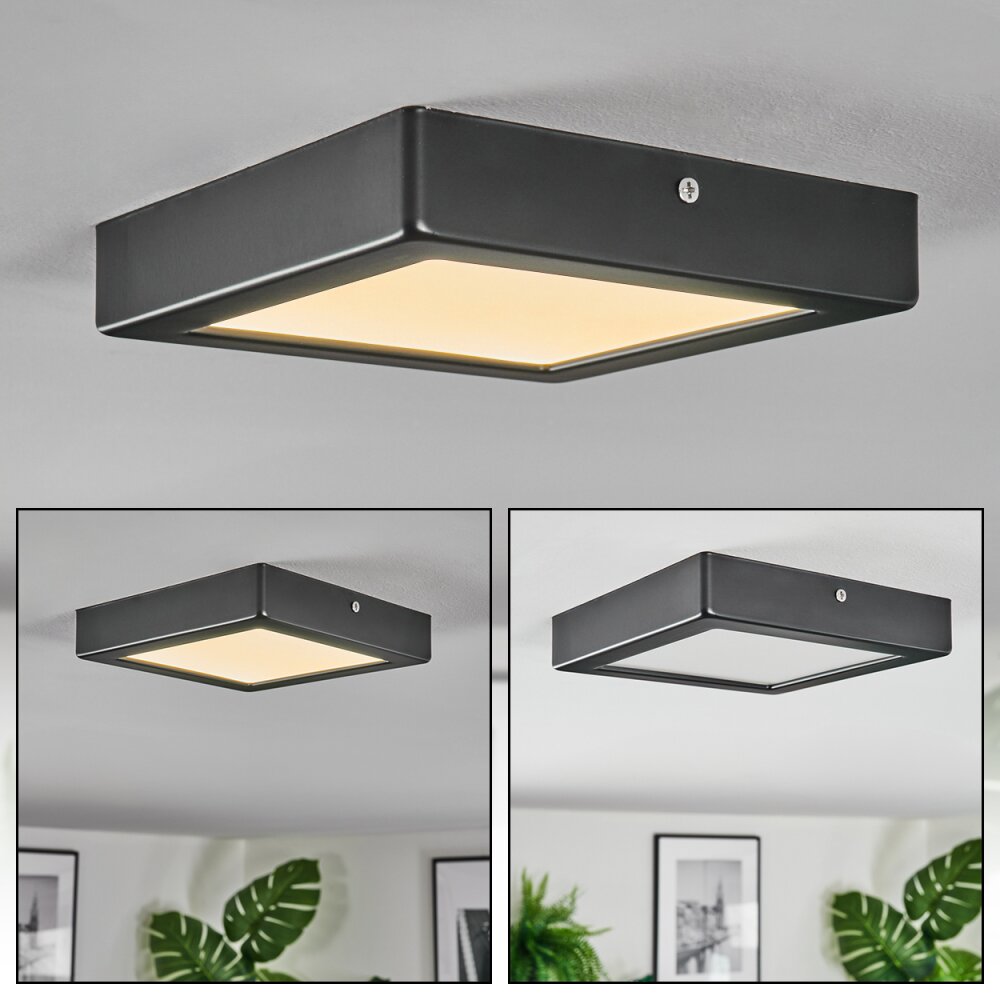 Isela Plafondlamp, Paneel LED Zwart, 1-licht main product photo