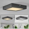 Isela Plafondlamp, Paneel LED Zwart, 1-licht