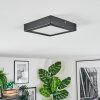 Isela Plafondlamp, Paneel LED Zwart, 1-licht