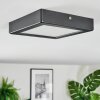 Isela Plafondlamp, Paneel LED Zwart, 1-licht