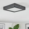 Isela Plafondlamp, Paneel LED Zwart, 1-licht